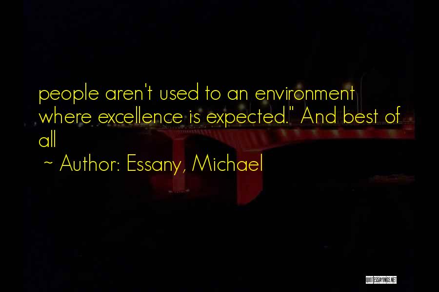 Essany, Michael Quotes: People Aren't Used To An Environment Where Excellence Is Expected. And Best Of All