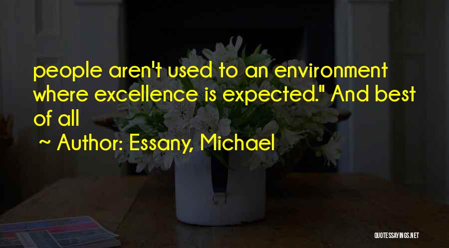 Essany, Michael Quotes: People Aren't Used To An Environment Where Excellence Is Expected. And Best Of All