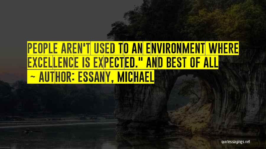 Essany, Michael Quotes: People Aren't Used To An Environment Where Excellence Is Expected. And Best Of All