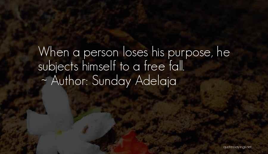 Sunday Adelaja Quotes: When A Person Loses His Purpose, He Subjects Himself To A Free Fall.