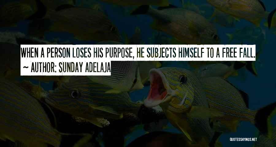 Sunday Adelaja Quotes: When A Person Loses His Purpose, He Subjects Himself To A Free Fall.