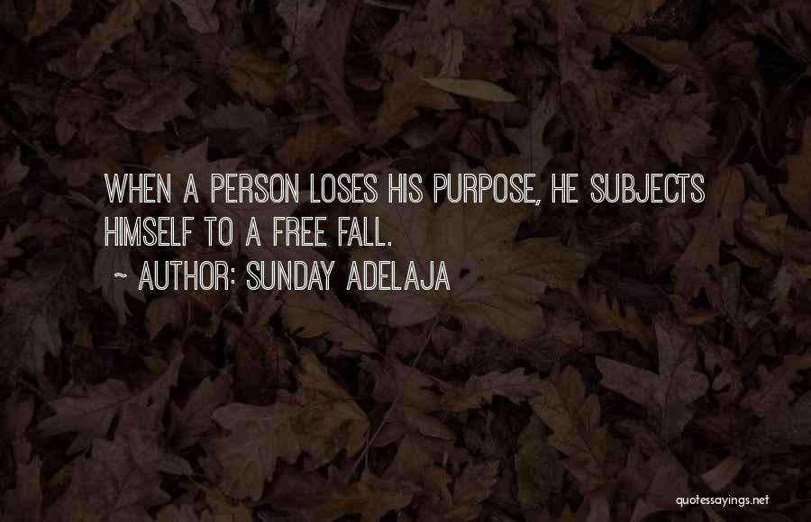 Sunday Adelaja Quotes: When A Person Loses His Purpose, He Subjects Himself To A Free Fall.