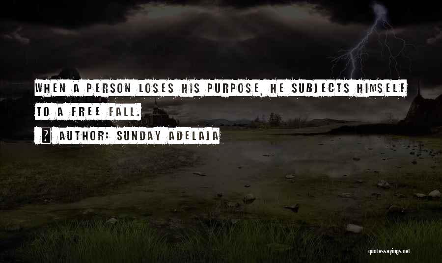 Sunday Adelaja Quotes: When A Person Loses His Purpose, He Subjects Himself To A Free Fall.
