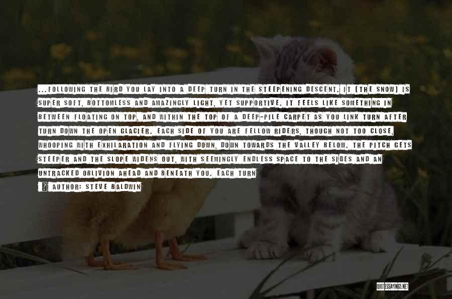 Steve Baldwin Quotes: ...following The Bird You Lay Into A Deep Turn In The Steepening Descent. It [the Snow] Is Super Soft, Bottomless