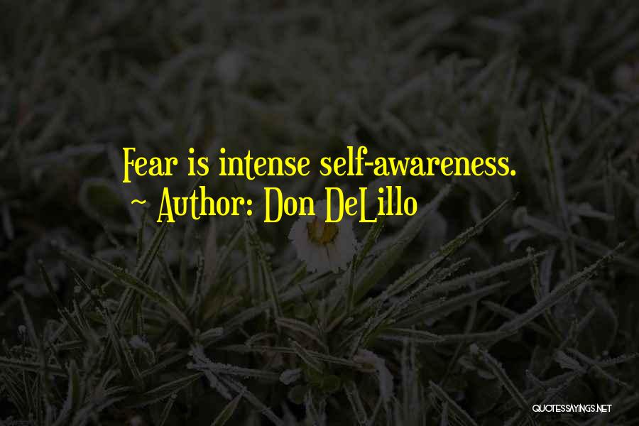 Don DeLillo Quotes: Fear Is Intense Self-awareness.