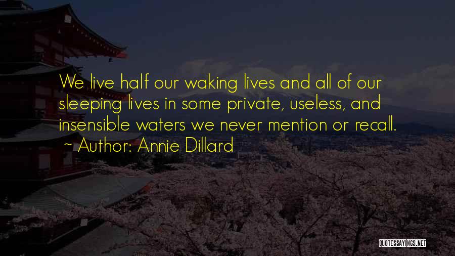 Annie Dillard Quotes: We Live Half Our Waking Lives And All Of Our Sleeping Lives In Some Private, Useless, And Insensible Waters We