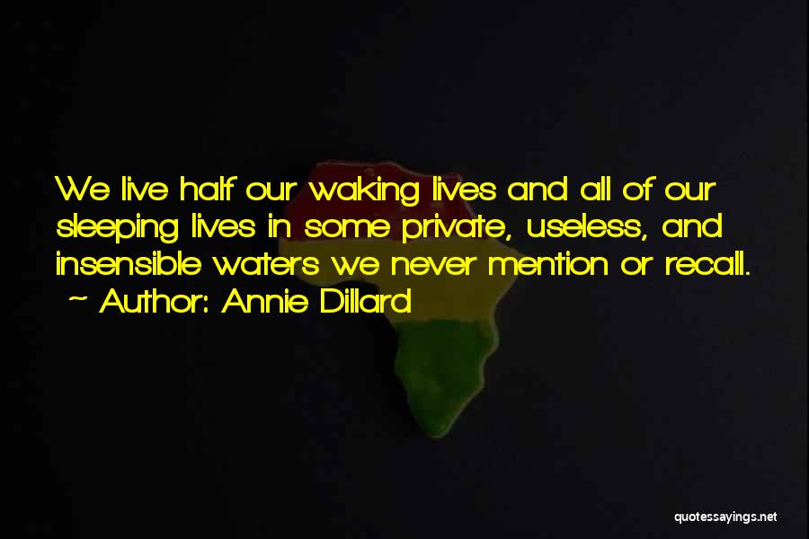 Annie Dillard Quotes: We Live Half Our Waking Lives And All Of Our Sleeping Lives In Some Private, Useless, And Insensible Waters We