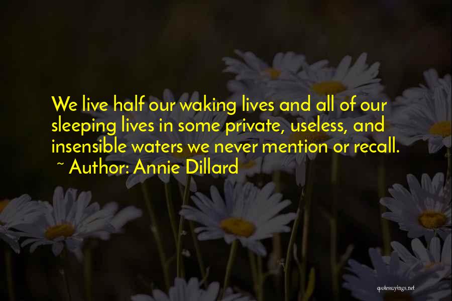 Annie Dillard Quotes: We Live Half Our Waking Lives And All Of Our Sleeping Lives In Some Private, Useless, And Insensible Waters We