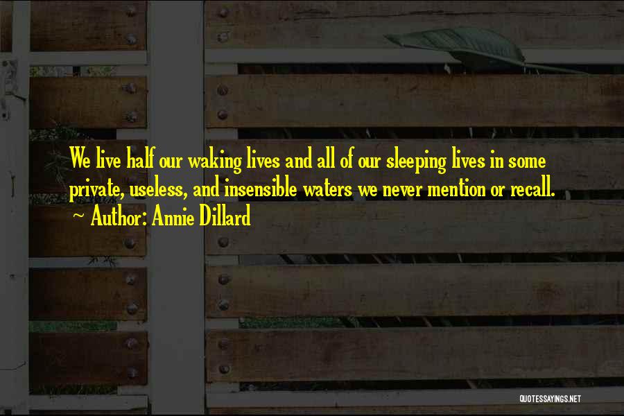 Annie Dillard Quotes: We Live Half Our Waking Lives And All Of Our Sleeping Lives In Some Private, Useless, And Insensible Waters We