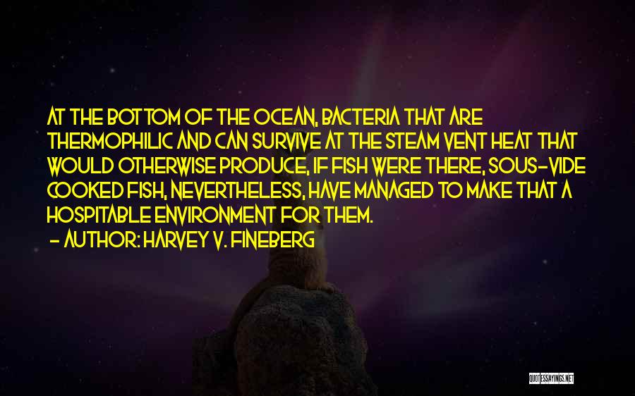 Harvey V. Fineberg Quotes: At The Bottom Of The Ocean, Bacteria That Are Thermophilic And Can Survive At The Steam Vent Heat That Would
