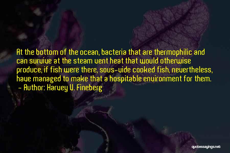 Harvey V. Fineberg Quotes: At The Bottom Of The Ocean, Bacteria That Are Thermophilic And Can Survive At The Steam Vent Heat That Would