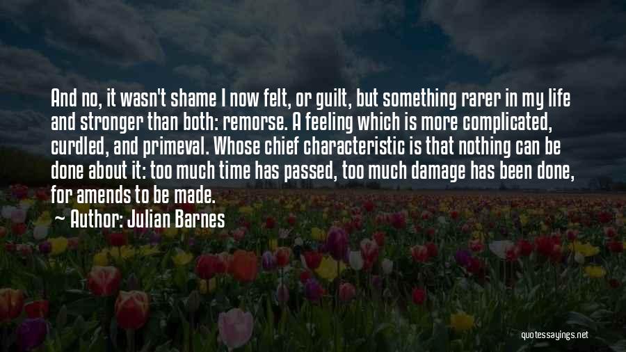 Julian Barnes Quotes: And No, It Wasn't Shame I Now Felt, Or Guilt, But Something Rarer In My Life And Stronger Than Both: