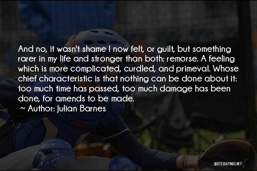 Julian Barnes Quotes: And No, It Wasn't Shame I Now Felt, Or Guilt, But Something Rarer In My Life And Stronger Than Both: