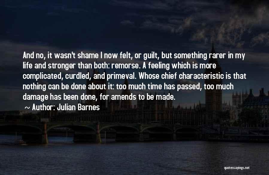 Julian Barnes Quotes: And No, It Wasn't Shame I Now Felt, Or Guilt, But Something Rarer In My Life And Stronger Than Both: