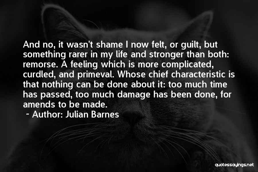 Julian Barnes Quotes: And No, It Wasn't Shame I Now Felt, Or Guilt, But Something Rarer In My Life And Stronger Than Both: