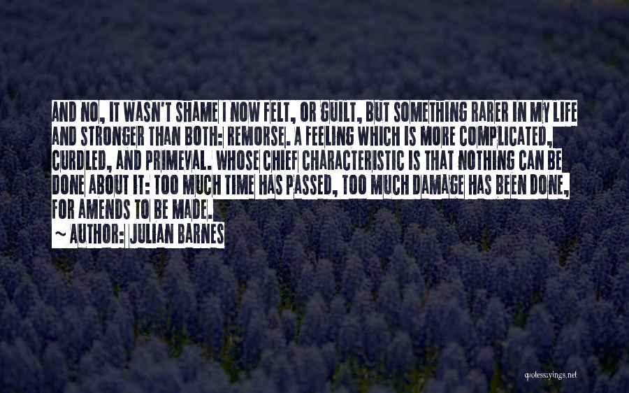 Julian Barnes Quotes: And No, It Wasn't Shame I Now Felt, Or Guilt, But Something Rarer In My Life And Stronger Than Both: