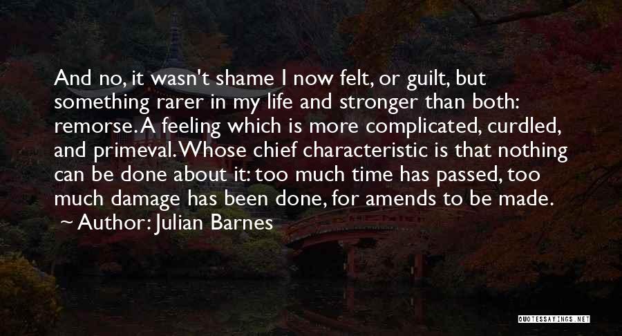 Julian Barnes Quotes: And No, It Wasn't Shame I Now Felt, Or Guilt, But Something Rarer In My Life And Stronger Than Both: