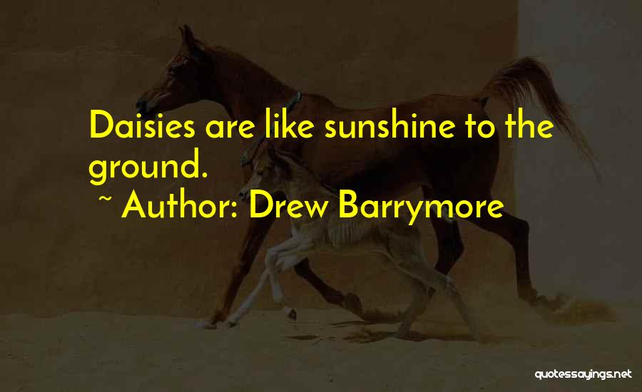 Drew Barrymore Quotes: Daisies Are Like Sunshine To The Ground.