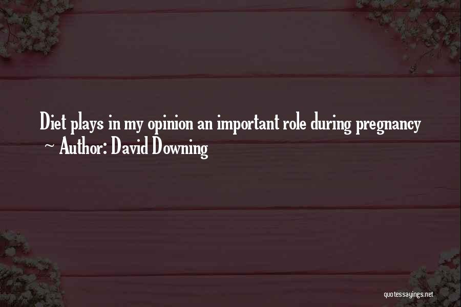 David Downing Quotes: Diet Plays In My Opinion An Important Role During Pregnancy