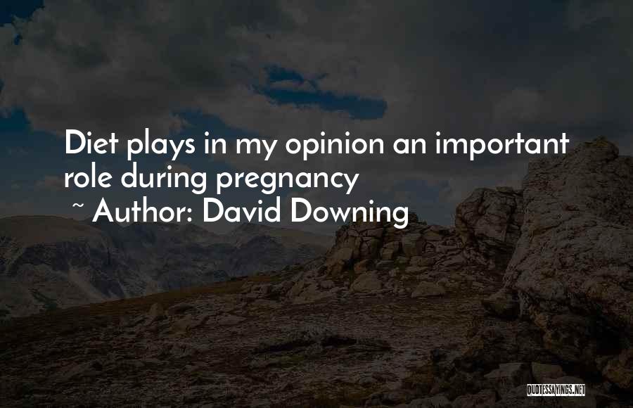 David Downing Quotes: Diet Plays In My Opinion An Important Role During Pregnancy