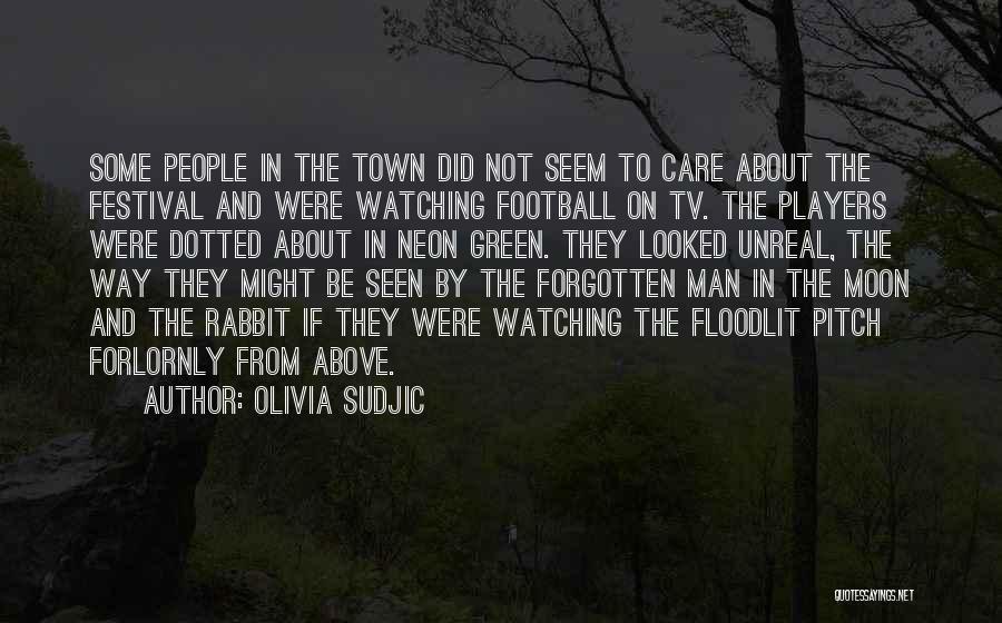 Olivia Sudjic Quotes: Some People In The Town Did Not Seem To Care About The Festival And Were Watching Football On Tv. The