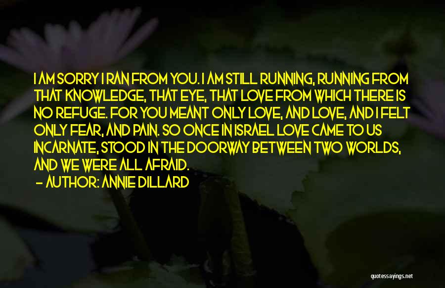 Annie Dillard Quotes: I Am Sorry I Ran From You. I Am Still Running, Running From That Knowledge, That Eye, That Love From