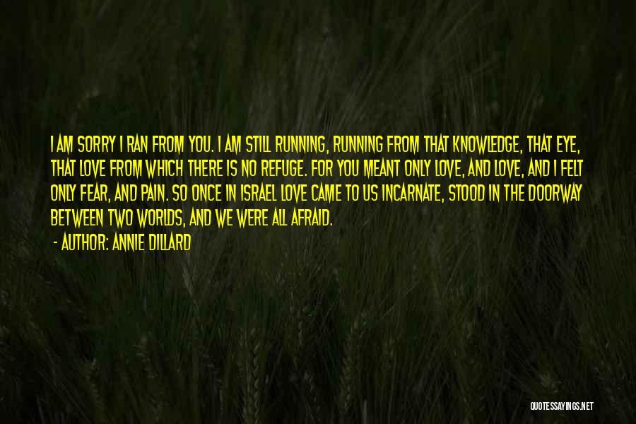 Annie Dillard Quotes: I Am Sorry I Ran From You. I Am Still Running, Running From That Knowledge, That Eye, That Love From