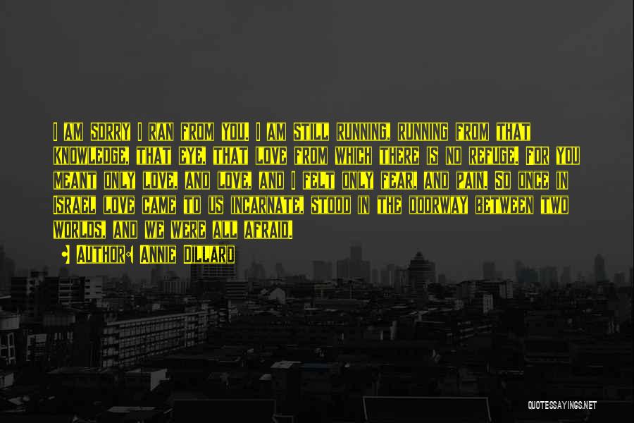 Annie Dillard Quotes: I Am Sorry I Ran From You. I Am Still Running, Running From That Knowledge, That Eye, That Love From