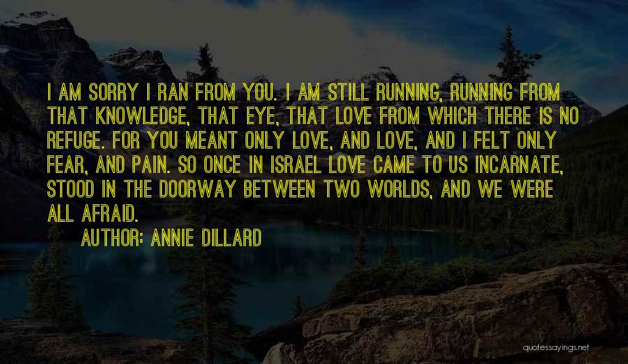 Annie Dillard Quotes: I Am Sorry I Ran From You. I Am Still Running, Running From That Knowledge, That Eye, That Love From
