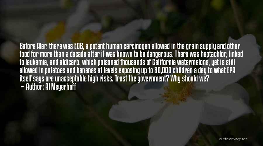 Al Meyerhoff Quotes: Before Alar, There Was Edb, A Potent Human Carcinogen Allowed In The Grain Supply And Other Food For More Than