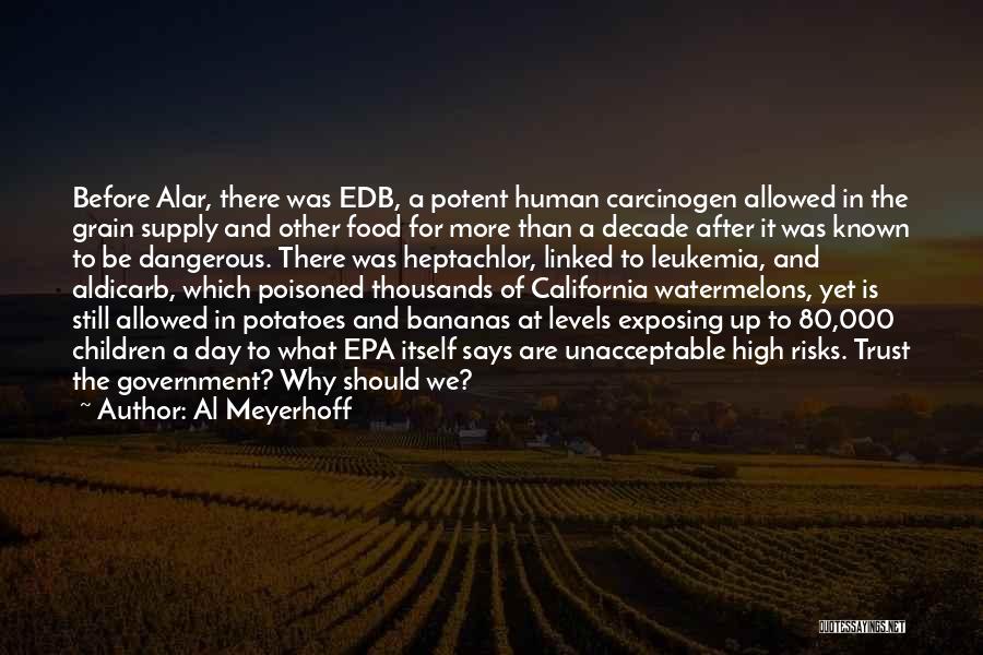 Al Meyerhoff Quotes: Before Alar, There Was Edb, A Potent Human Carcinogen Allowed In The Grain Supply And Other Food For More Than