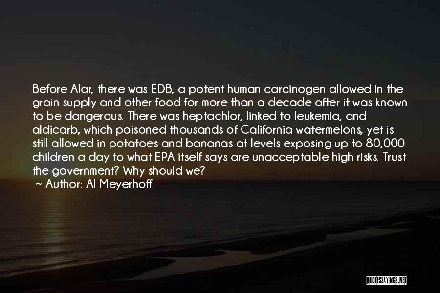 Al Meyerhoff Quotes: Before Alar, There Was Edb, A Potent Human Carcinogen Allowed In The Grain Supply And Other Food For More Than