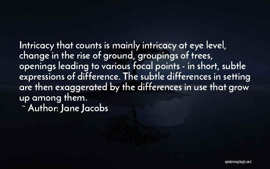 Jane Jacobs Quotes: Intricacy That Counts Is Mainly Intricacy At Eye Level, Change In The Rise Of Ground, Groupings Of Trees, Openings Leading