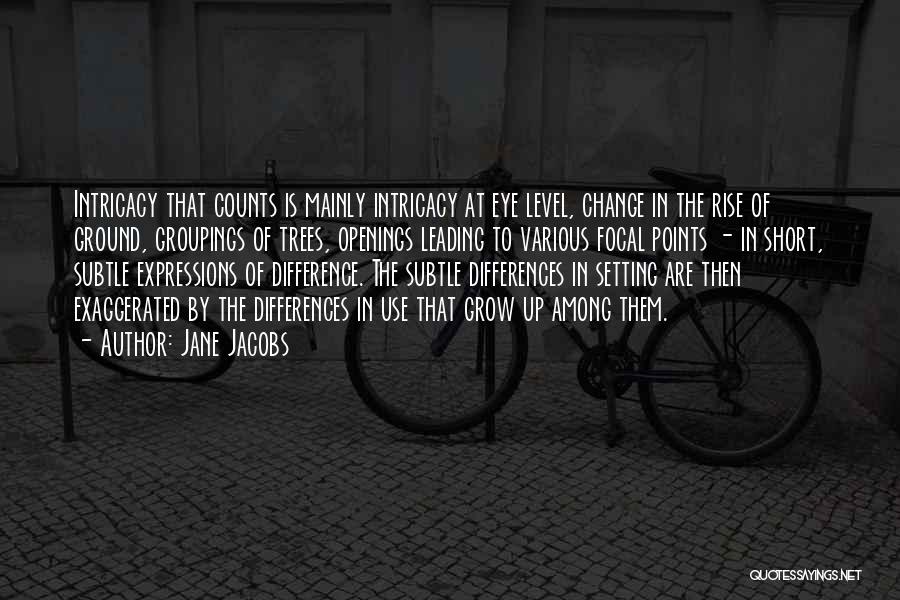 Jane Jacobs Quotes: Intricacy That Counts Is Mainly Intricacy At Eye Level, Change In The Rise Of Ground, Groupings Of Trees, Openings Leading