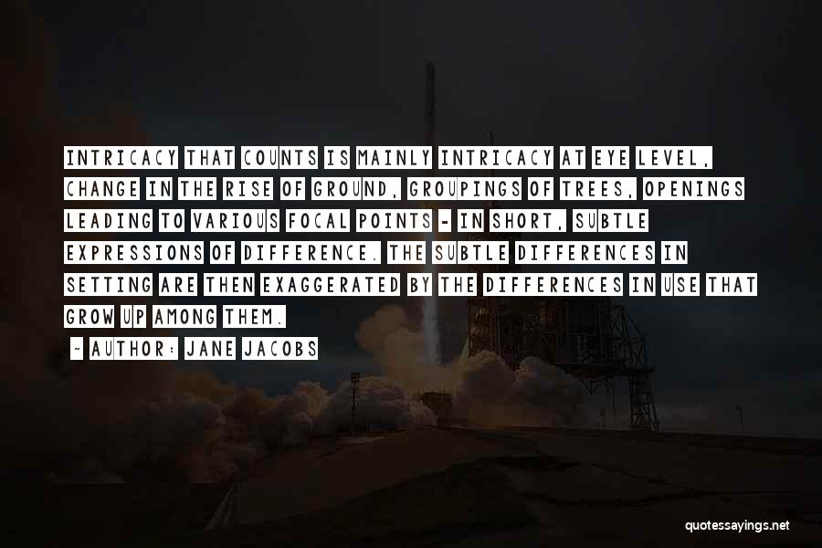 Jane Jacobs Quotes: Intricacy That Counts Is Mainly Intricacy At Eye Level, Change In The Rise Of Ground, Groupings Of Trees, Openings Leading