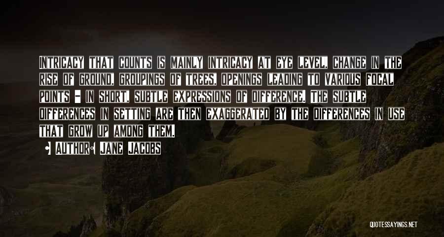Jane Jacobs Quotes: Intricacy That Counts Is Mainly Intricacy At Eye Level, Change In The Rise Of Ground, Groupings Of Trees, Openings Leading