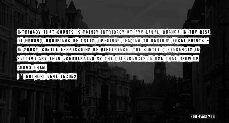 Jane Jacobs Quotes: Intricacy That Counts Is Mainly Intricacy At Eye Level, Change In The Rise Of Ground, Groupings Of Trees, Openings Leading