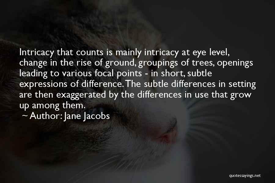 Jane Jacobs Quotes: Intricacy That Counts Is Mainly Intricacy At Eye Level, Change In The Rise Of Ground, Groupings Of Trees, Openings Leading