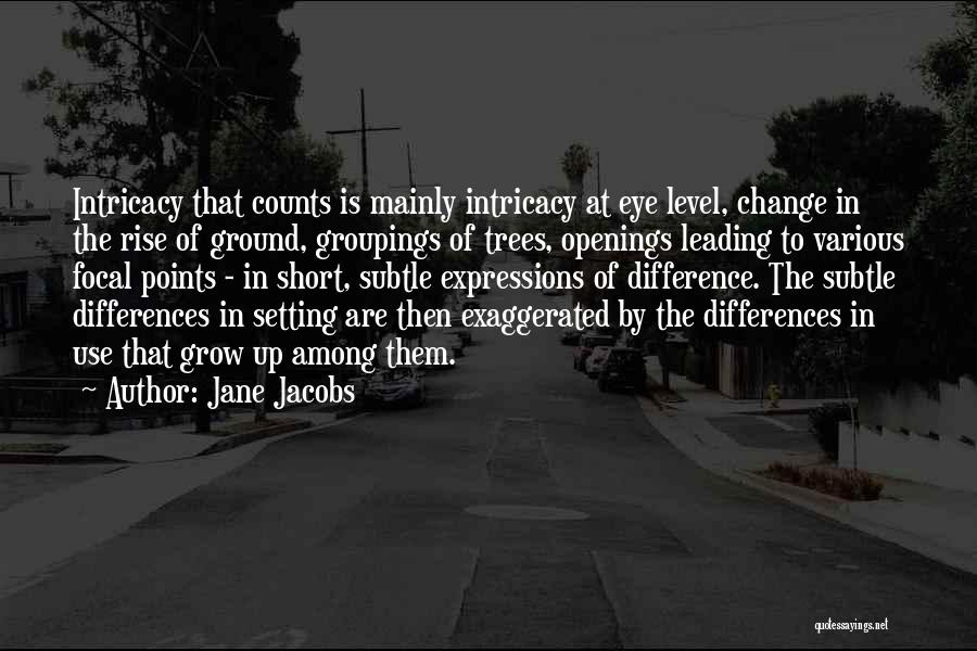 Jane Jacobs Quotes: Intricacy That Counts Is Mainly Intricacy At Eye Level, Change In The Rise Of Ground, Groupings Of Trees, Openings Leading