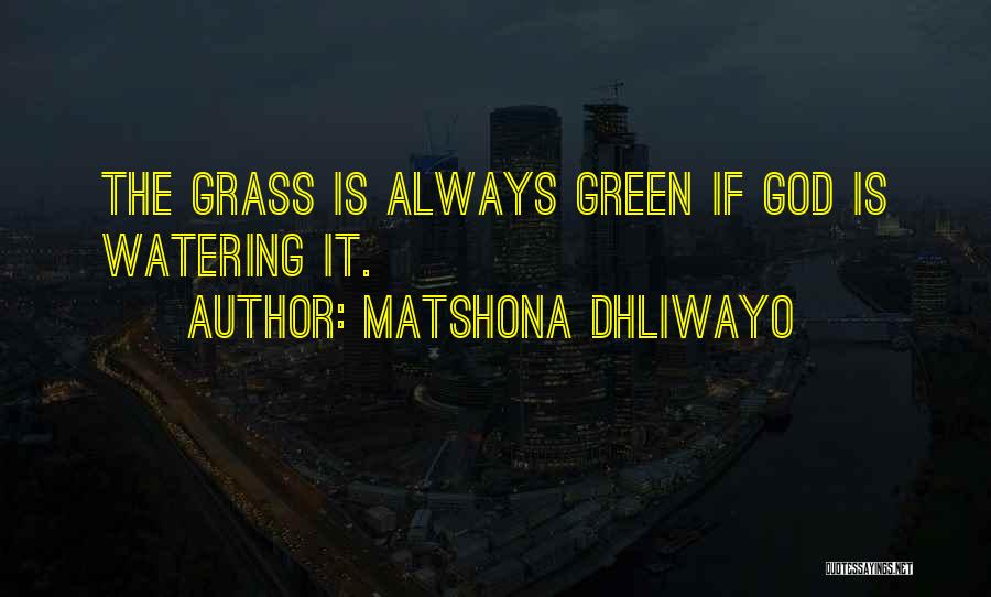 Matshona Dhliwayo Quotes: The Grass Is Always Green If God Is Watering It.