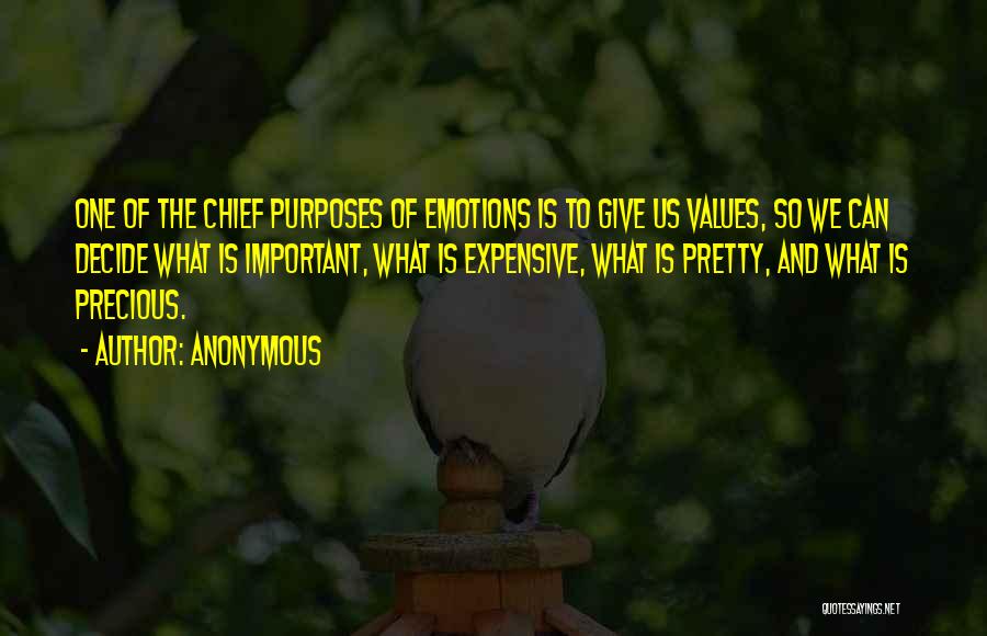 Anonymous Quotes: One Of The Chief Purposes Of Emotions Is To Give Us Values, So We Can Decide What Is Important, What