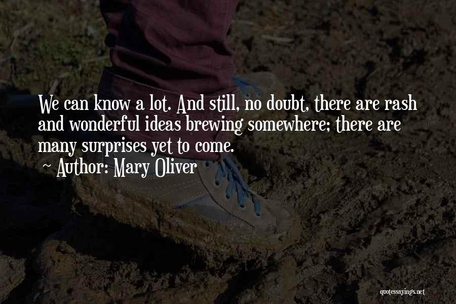 Mary Oliver Quotes: We Can Know A Lot. And Still, No Doubt, There Are Rash And Wonderful Ideas Brewing Somewhere; There Are Many