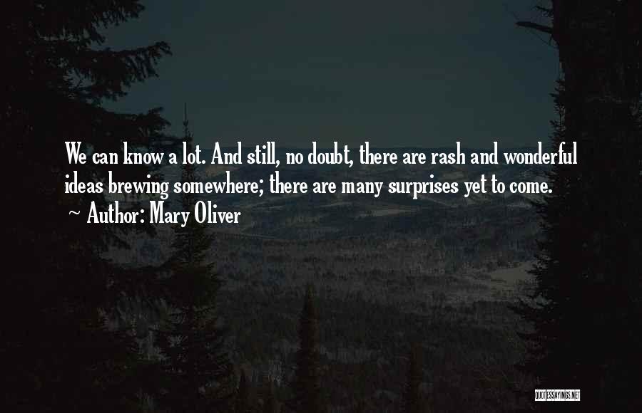 Mary Oliver Quotes: We Can Know A Lot. And Still, No Doubt, There Are Rash And Wonderful Ideas Brewing Somewhere; There Are Many