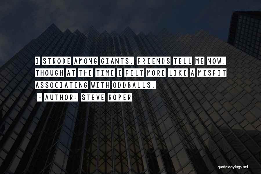 Steve Roper Quotes: I Strode Among Giants, Friends Tell Me Now, Though At The Time I Felt More Like A Misfit Associating With