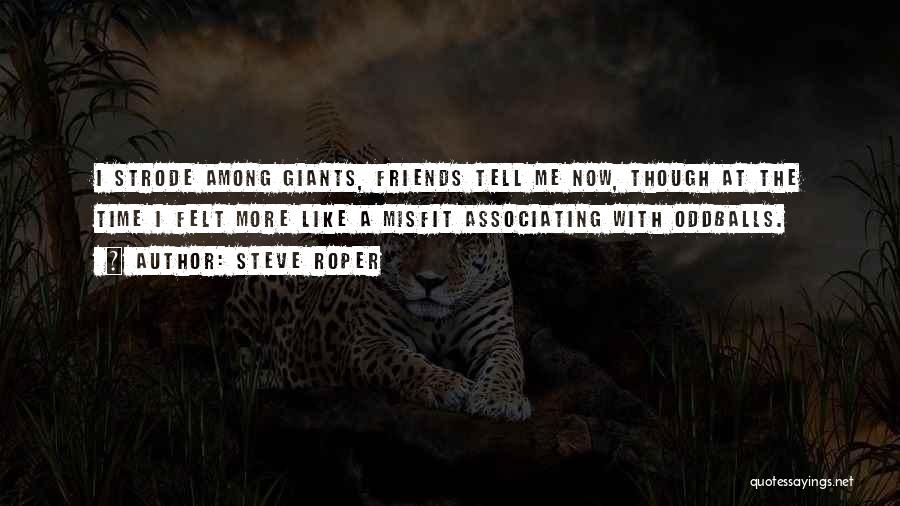 Steve Roper Quotes: I Strode Among Giants, Friends Tell Me Now, Though At The Time I Felt More Like A Misfit Associating With