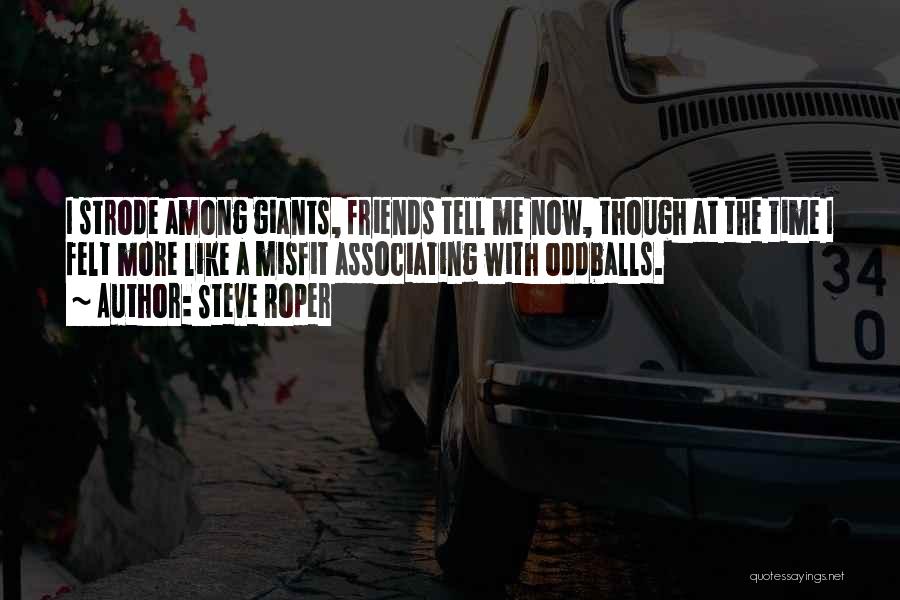 Steve Roper Quotes: I Strode Among Giants, Friends Tell Me Now, Though At The Time I Felt More Like A Misfit Associating With