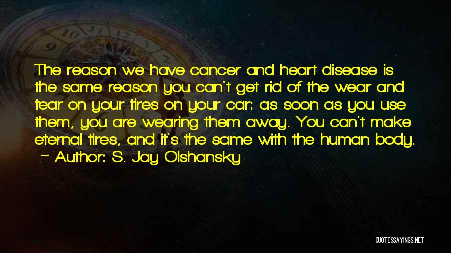 S. Jay Olshansky Quotes: The Reason We Have Cancer And Heart Disease Is The Same Reason You Can't Get Rid Of The Wear And