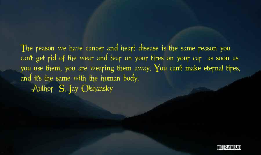 S. Jay Olshansky Quotes: The Reason We Have Cancer And Heart Disease Is The Same Reason You Can't Get Rid Of The Wear And