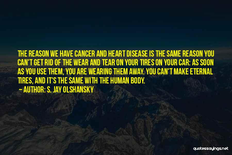 S. Jay Olshansky Quotes: The Reason We Have Cancer And Heart Disease Is The Same Reason You Can't Get Rid Of The Wear And