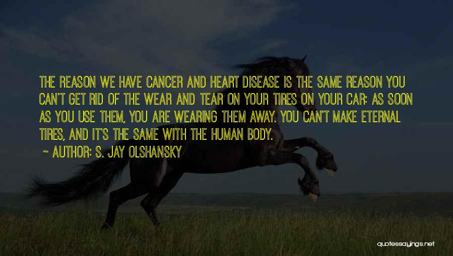 S. Jay Olshansky Quotes: The Reason We Have Cancer And Heart Disease Is The Same Reason You Can't Get Rid Of The Wear And